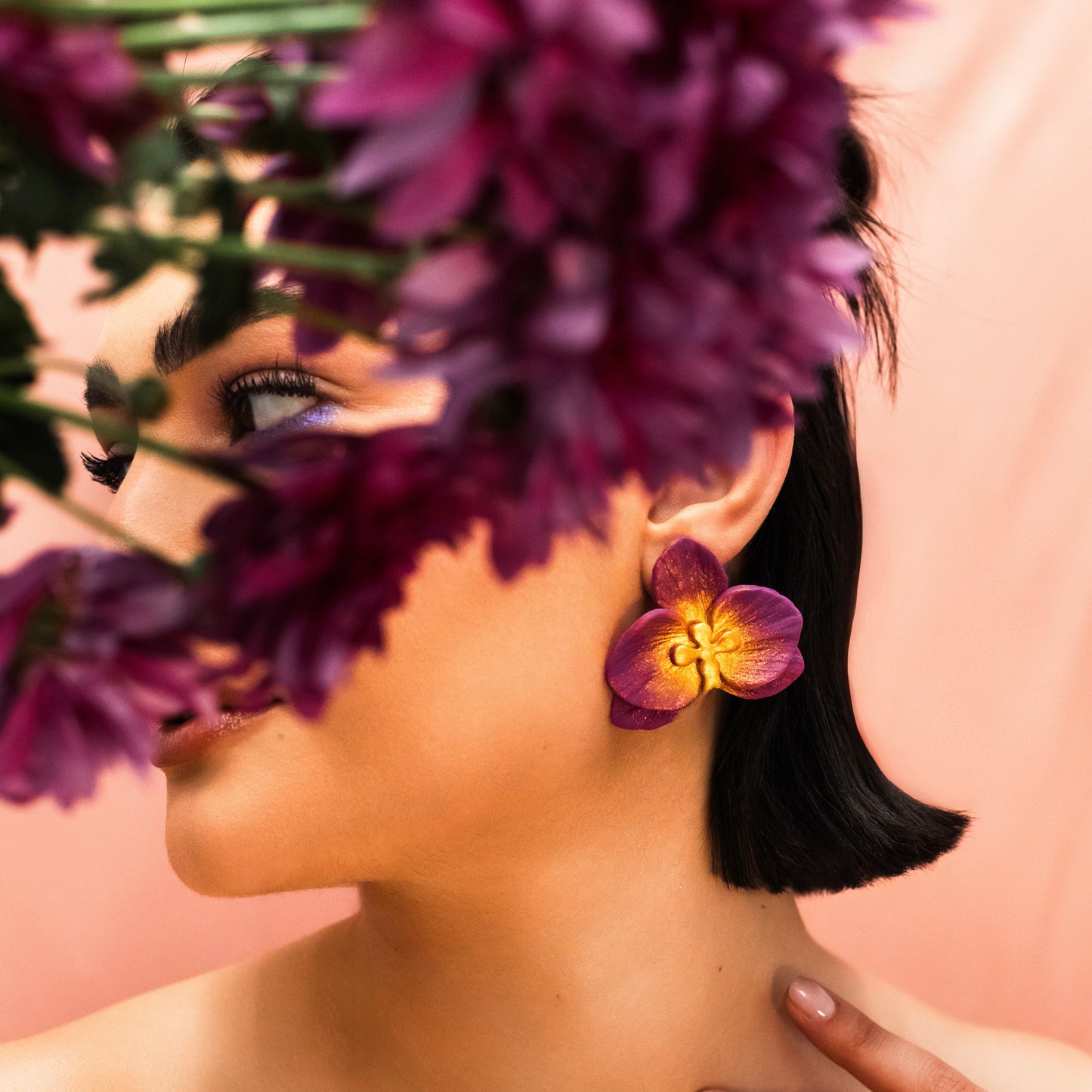 Orchids ✨
